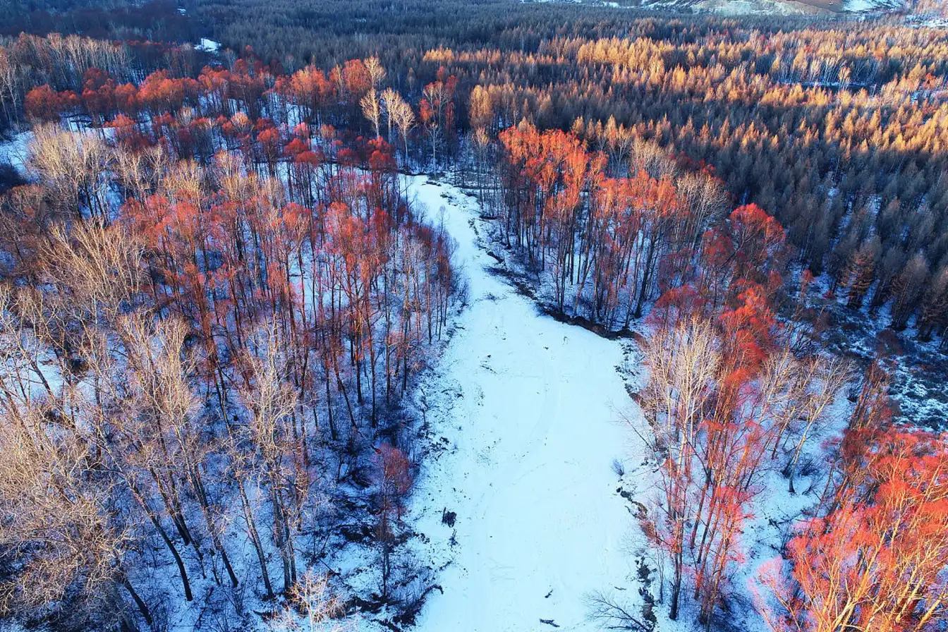 China wilderness, Daxinganling landscapes, nature photography, outdoor adventures