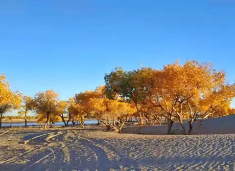 China nature tours, unique landscapes, photography destinations, travel in China