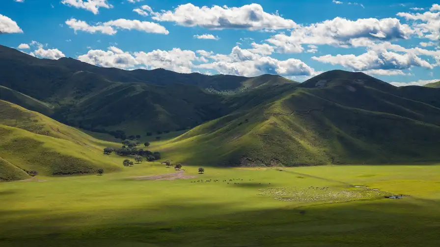 Hulunbuir Grassland,Grassland,China,Natural Scenery