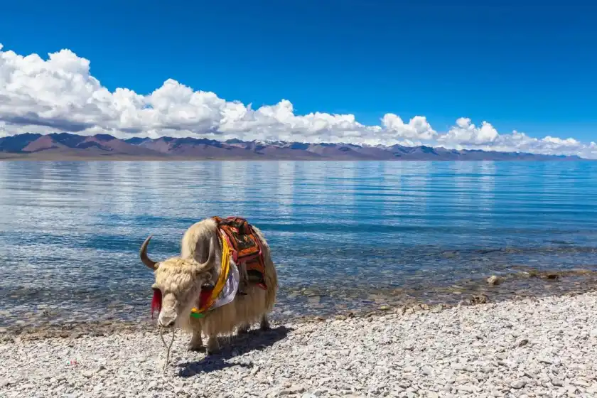 Namtso Lake,Tibet,China travel,Heavenly Lake,Spiritual journey