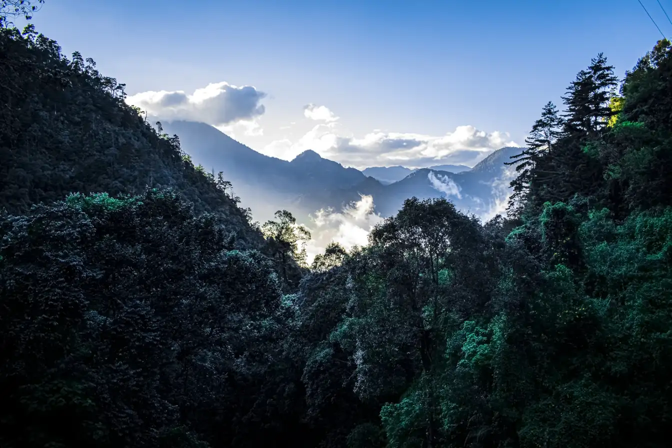 Shennongjia National Forest Park, China travel, untamed beauty, wilderness exploration