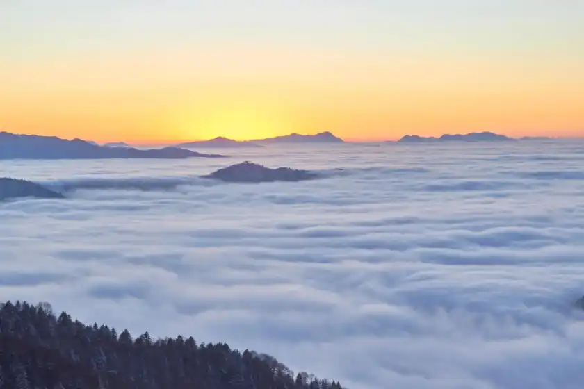 Shennongjia National Forest Park, China travel, untamed beauty, wilderness exploration