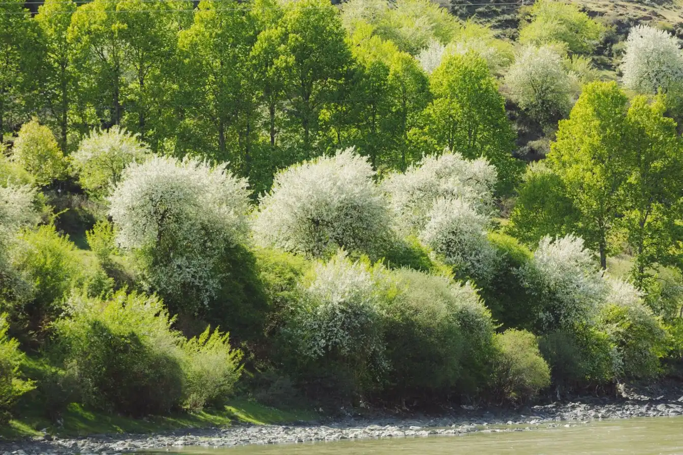 Jiagenba, Ganzi, Sichuan travel, hidden gem, Tibetan culture