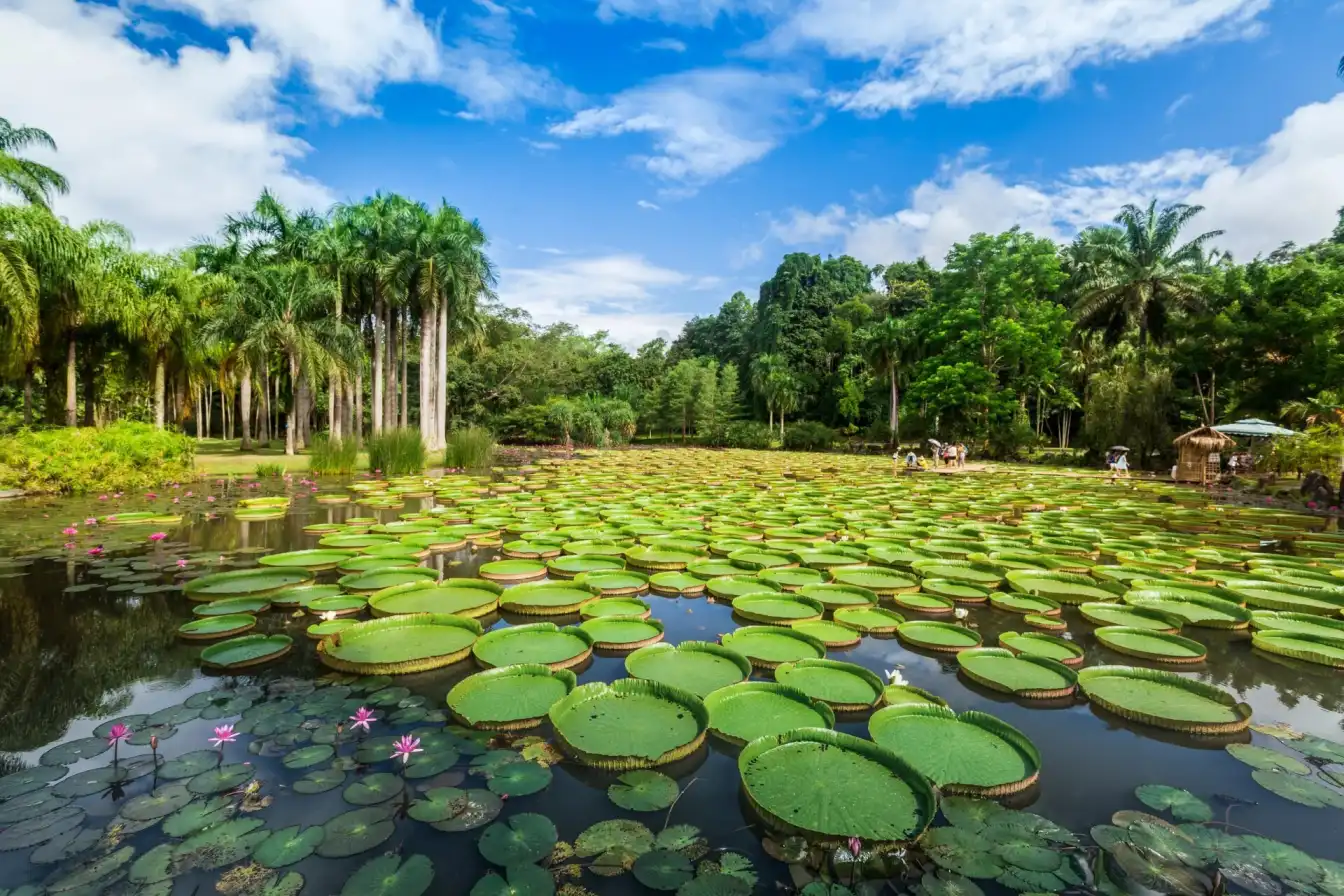 Xishuangbanna,China travel,tropical paradise,Dai culture,rainforest