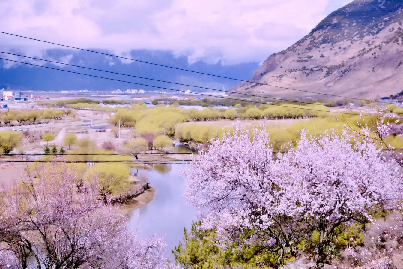 Tibet travel, Nyingchi landscapes, China nature tours, scenic beauty, cultural travel