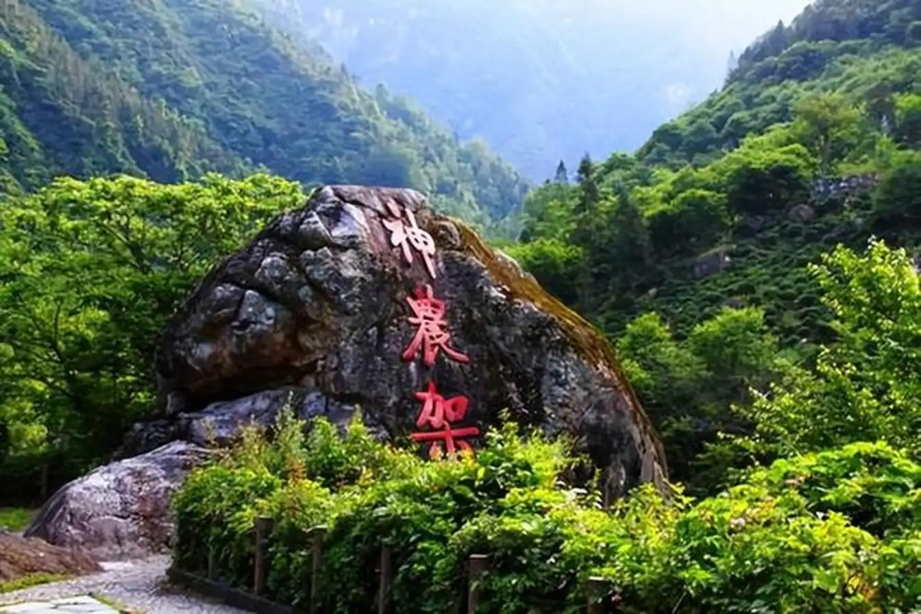 Shennongjia National Forest Park, China travel, untamed beauty, wilderness exploration