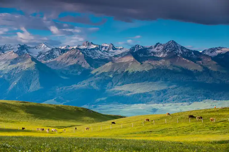 Karajun Grassland, China travel, grassland scenery, nomadic culture