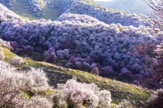 Xinjiang Yili, China travel destination, scenic beauty, cultural diversity