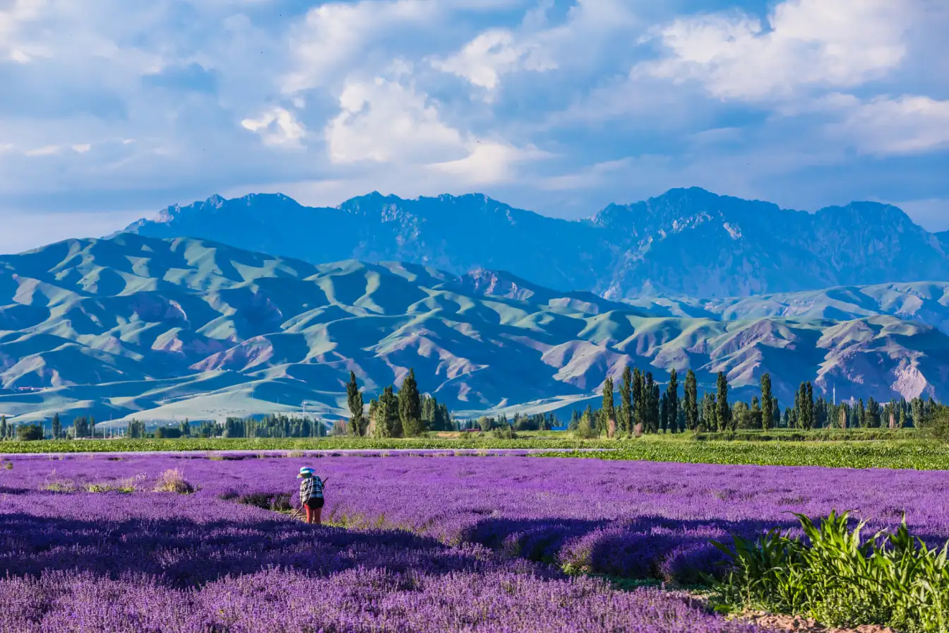 Xinjiang Yili, China travel destination, scenic beauty, cultural diversity