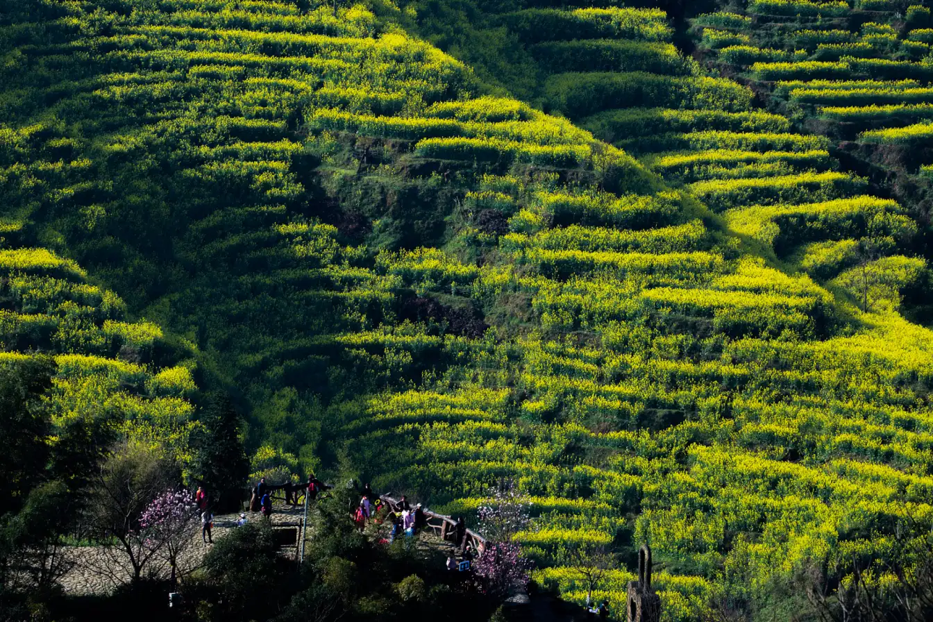 Wuyuan Scenic Area, China countryside travel, nature photography, traditional villages