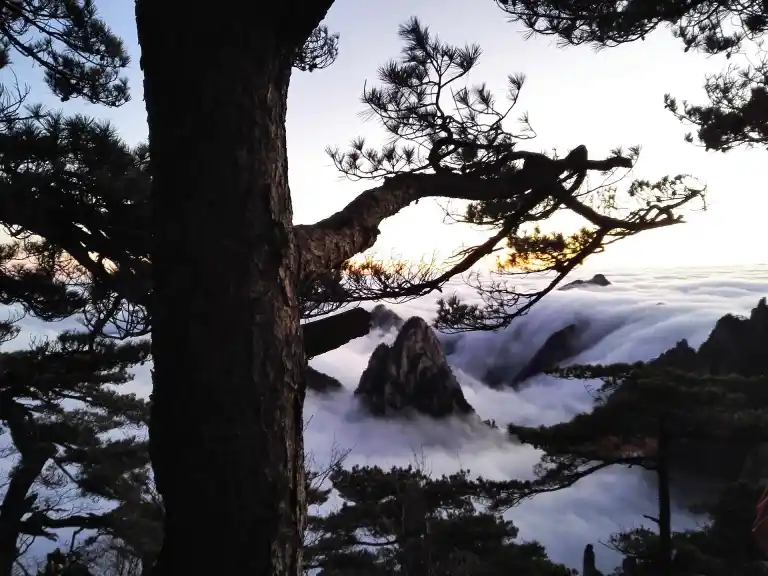 Yellow Mountain, Tranquil Majesty, Iconic Landscape