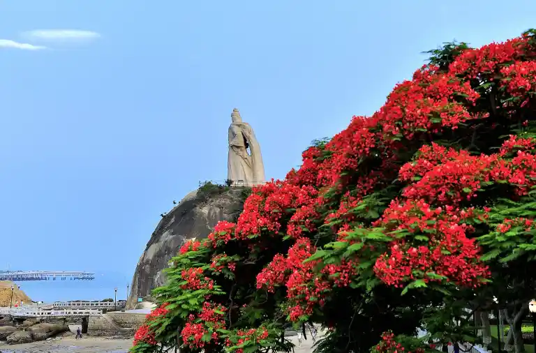 Zheng Chenggong legacy, Gulangyu Island exploration, Chinese coastal charm