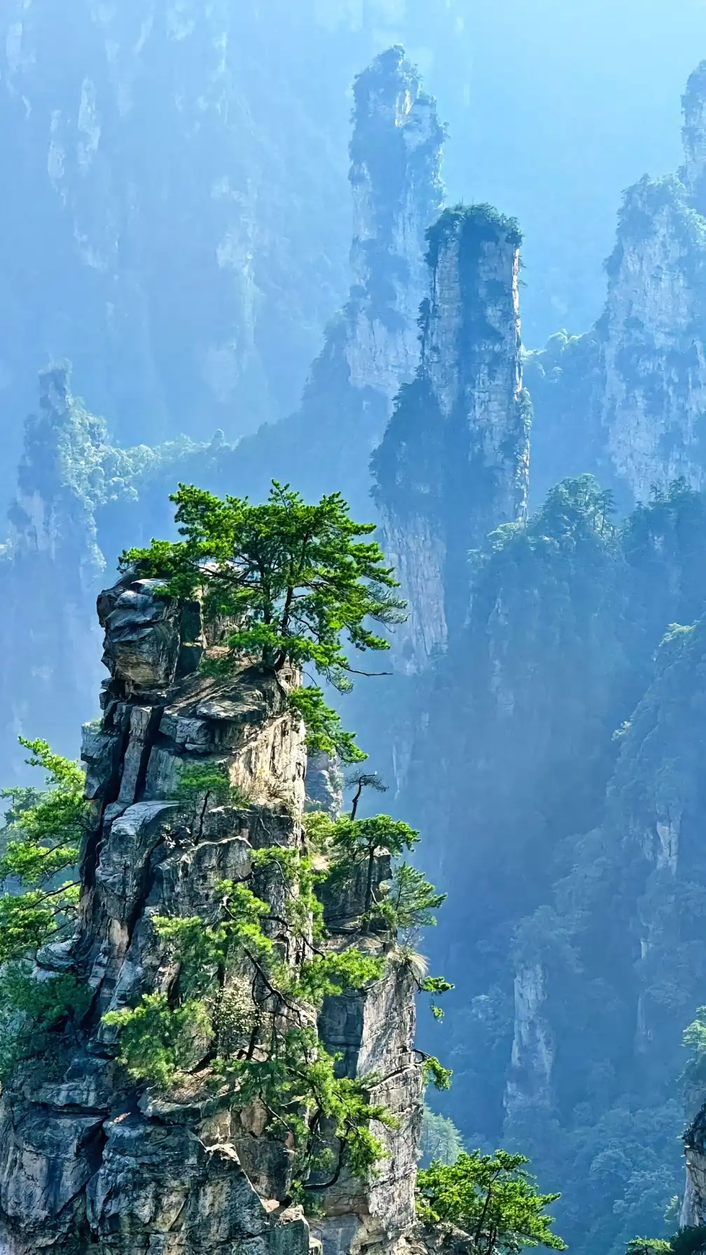 Zhangjiajie National Forest Park, 3-day guide, travel tips