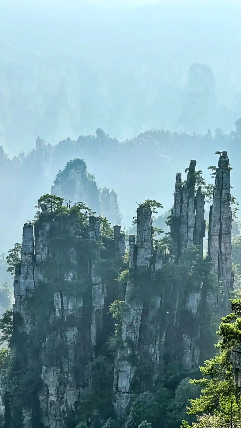 Zhangjiajie National Forest Park, 3-day guide, travel tips