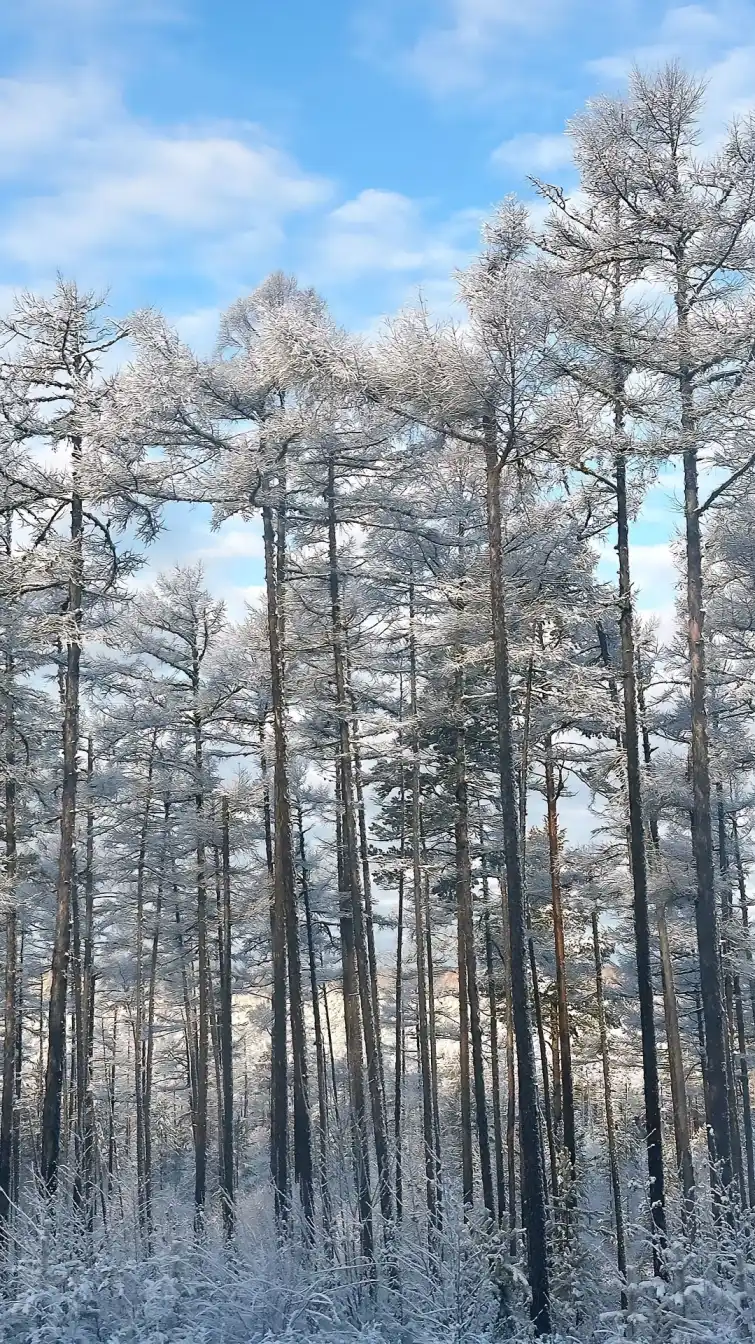 Mohe travel, China winter tourism, independent travel