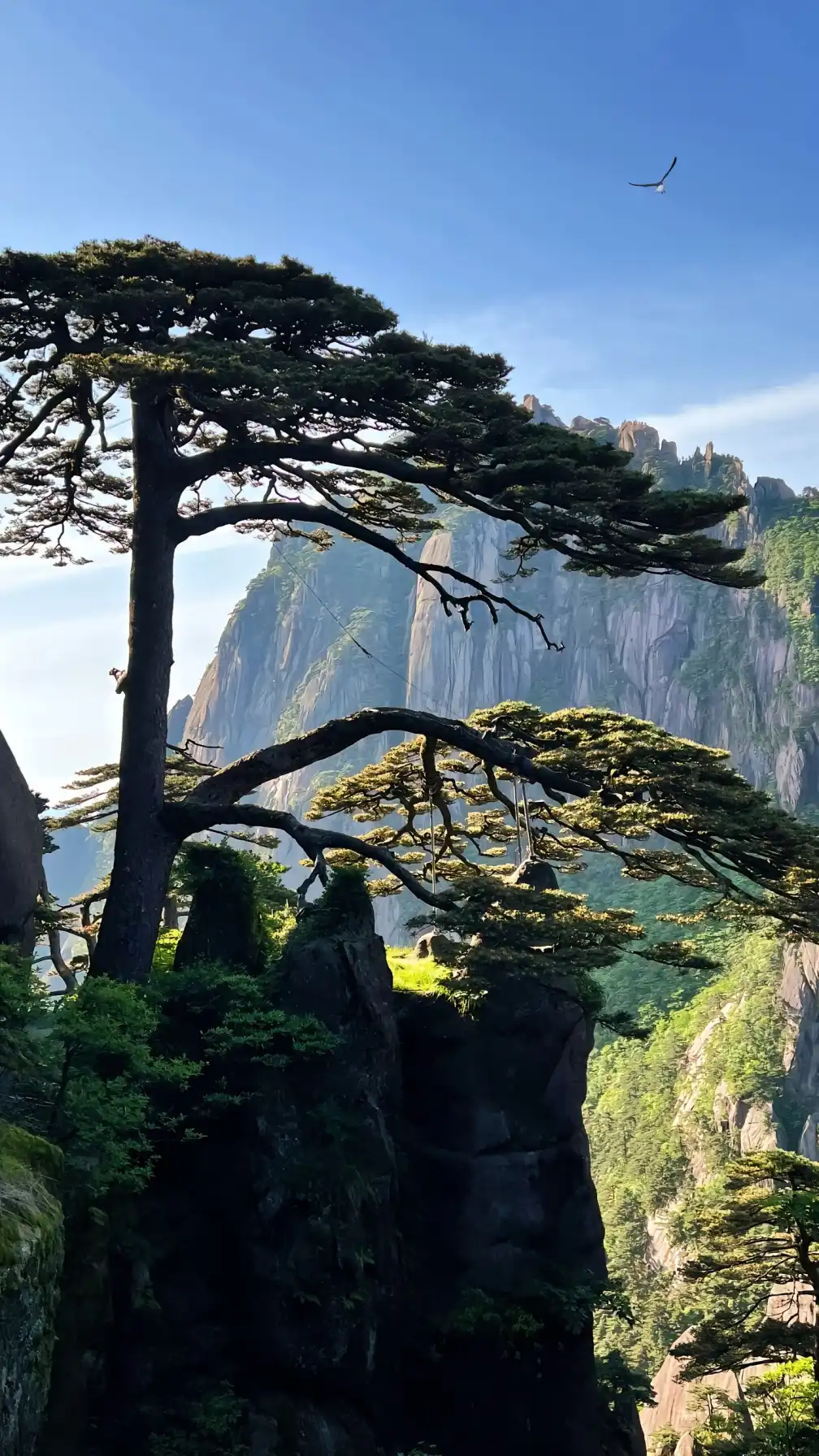 Huangshan travel, China tourism,First trip