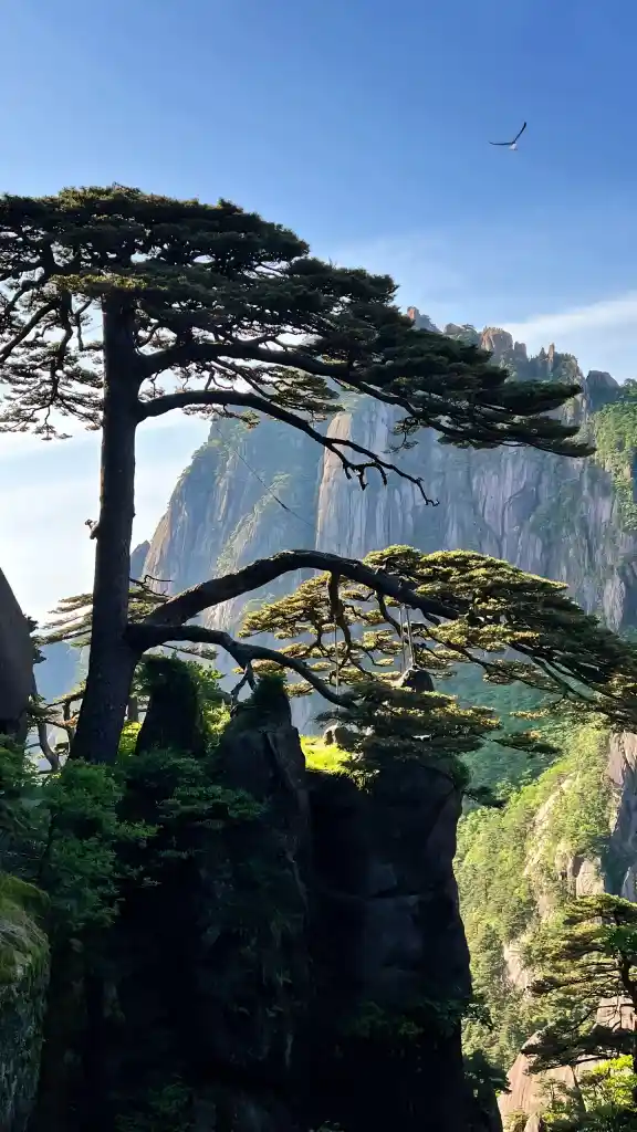 Huangshan travel, China tourism,First trip