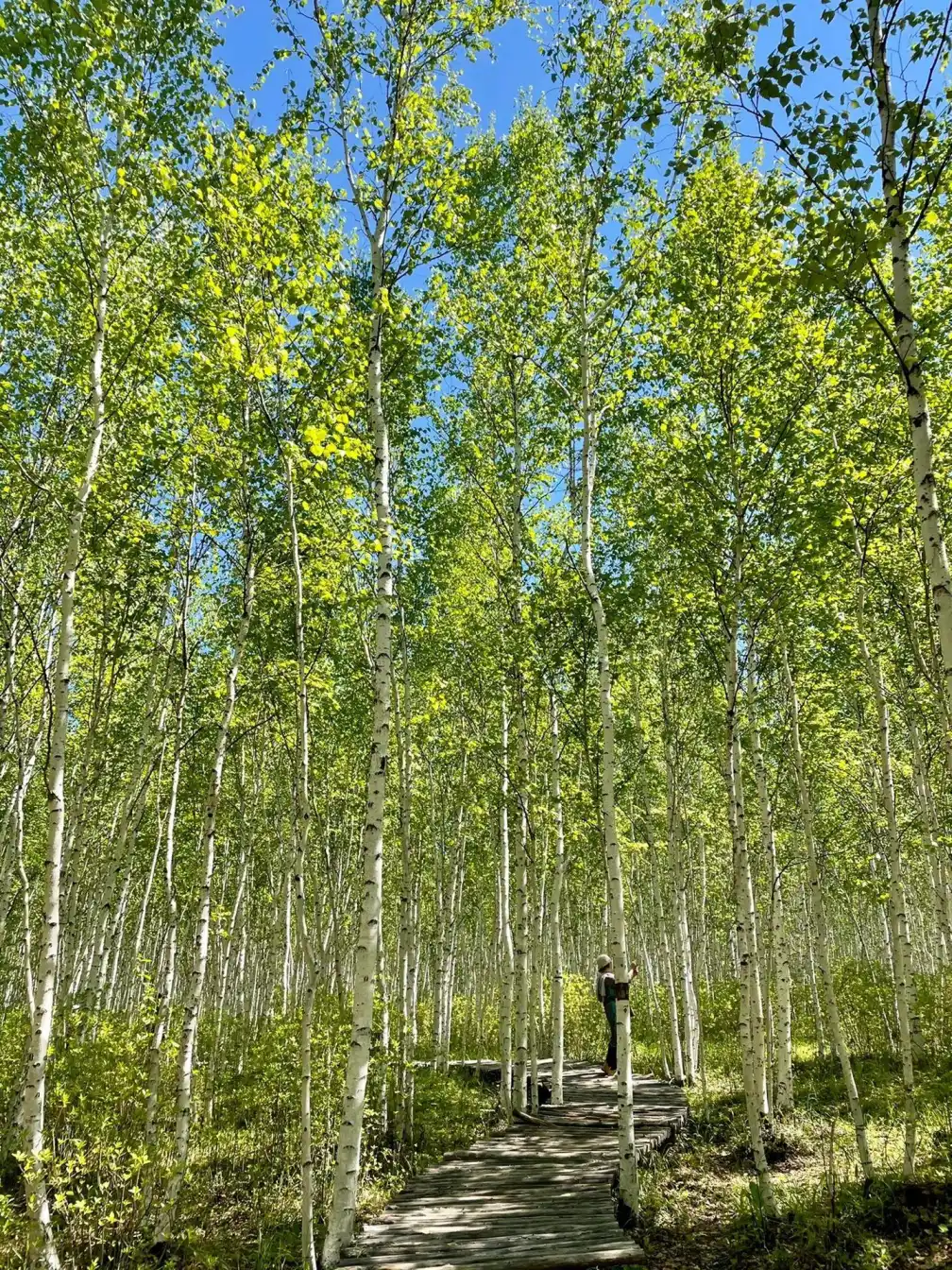 Mohe travel, China tourism, family vacation