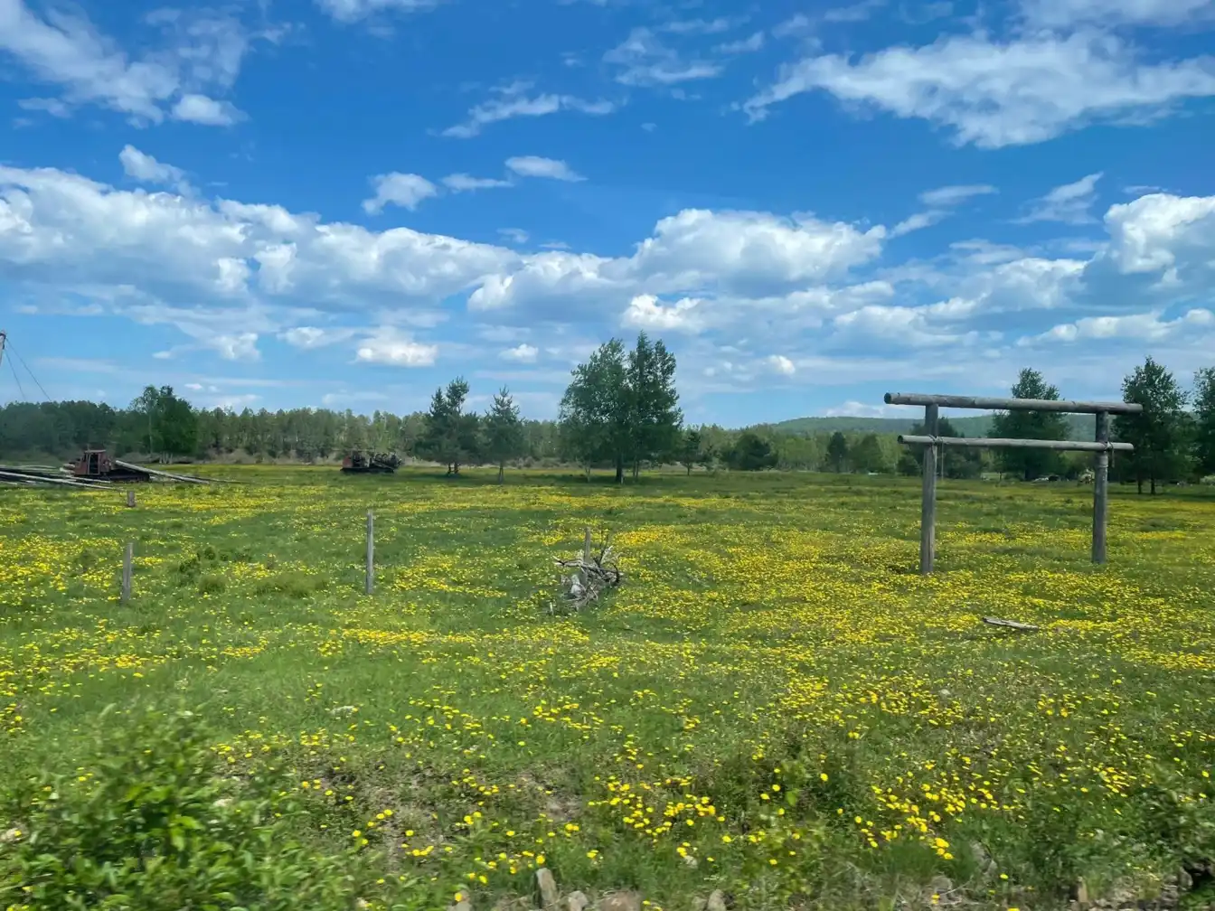 Mohe travel, China tourism, family vacation