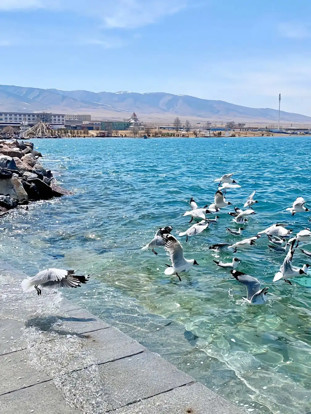 Qinghai Lake, China travel, family adventure