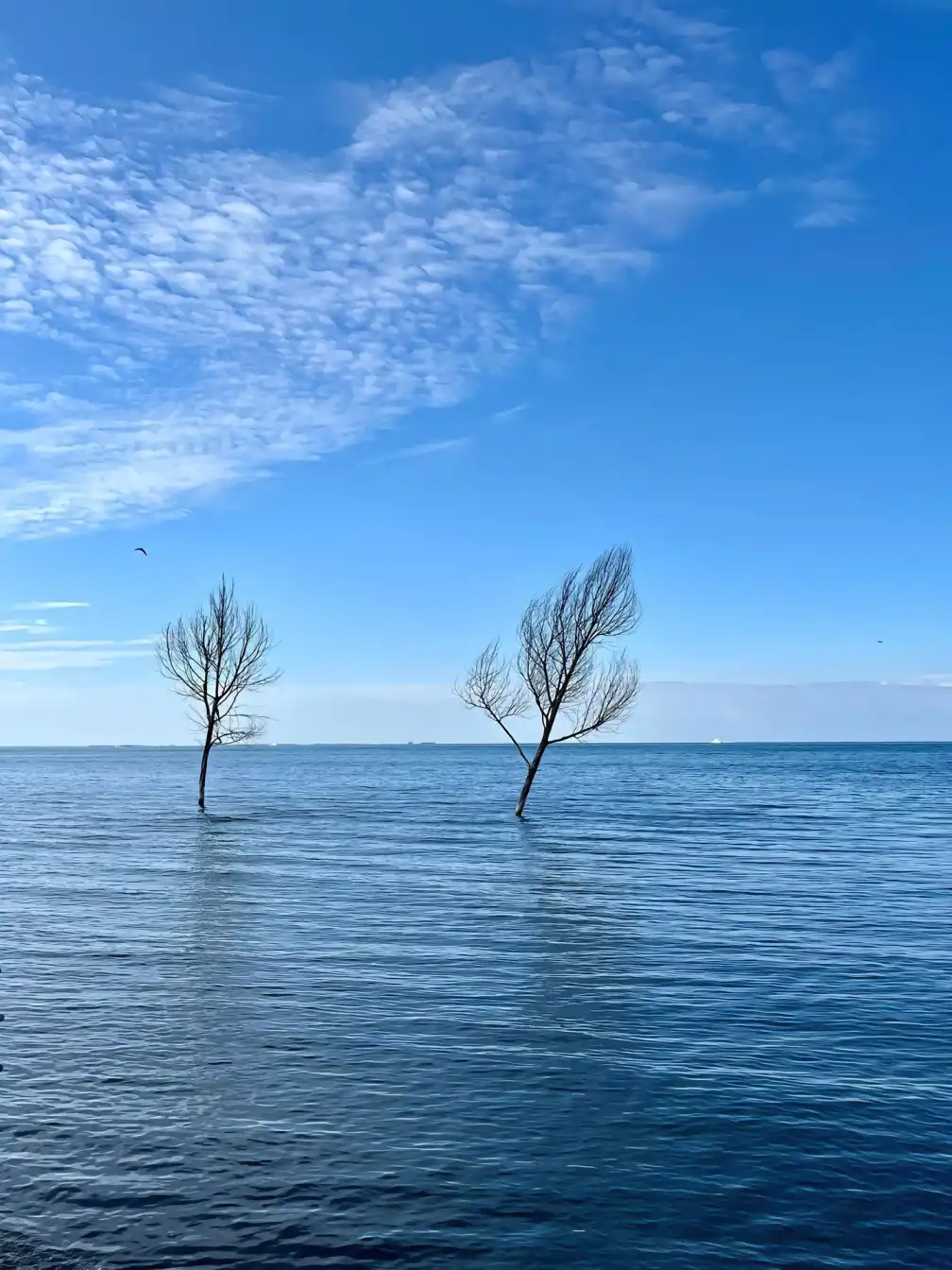 Qinghai Lake, China travel, family adventure