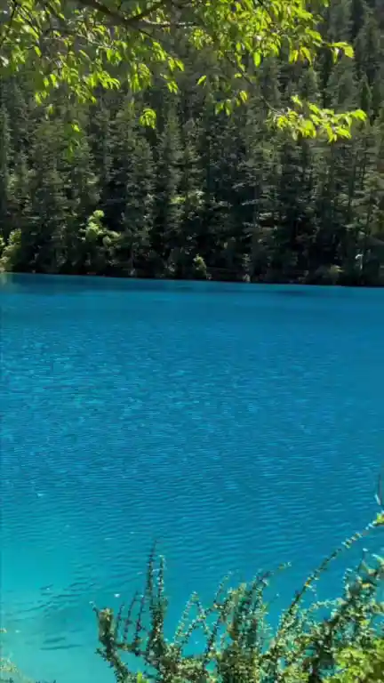 Jiuzhaigou travel, May sunshine, China nature