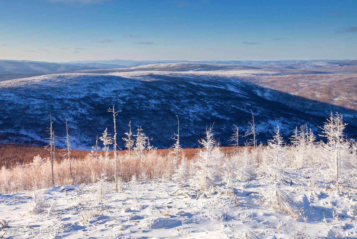 Daxing'anling: China's Pristine Wilderness