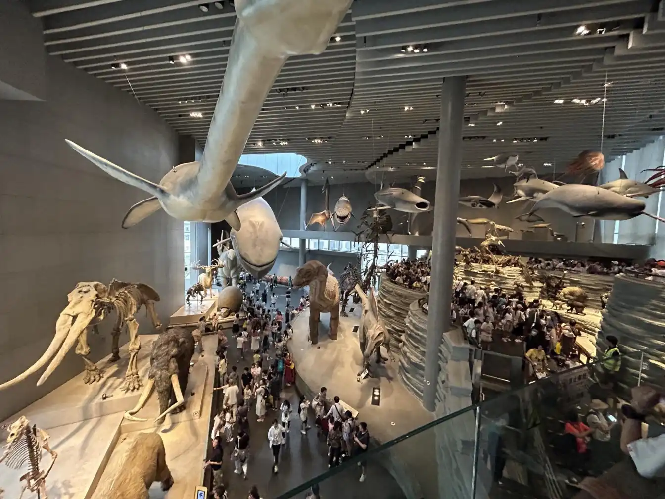 Shanghai family travel, Shanghai itinerary, Shanghai with kids, Shanghai attractions, Shanghai travel guide, Shanghai trip budget